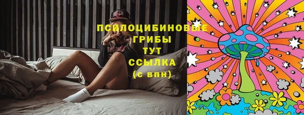 mdpv Алексин