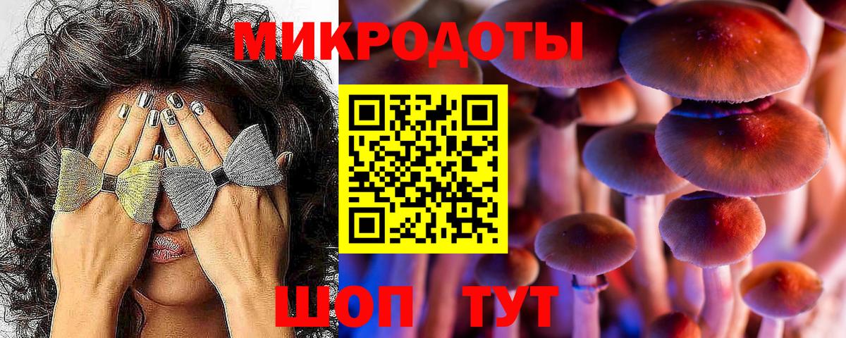 Псилоцибиновые грибы Cubensis  Вход с VPN  Дубна  Псилоцибиновые грибы Psilocybine cubensis 