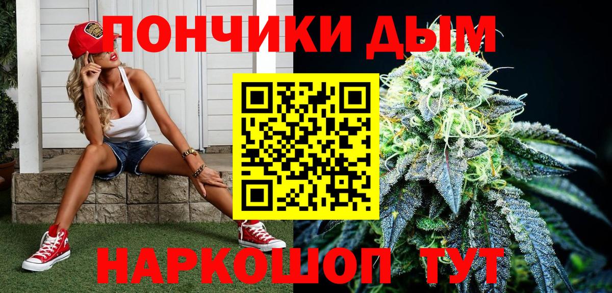 Бошки Шишки гибрид Дубна